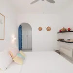 Casa Luna Holiday home Kastraki (Naxos)